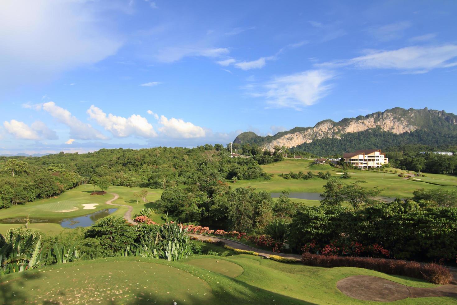 hierba verde en un campo de golf foto