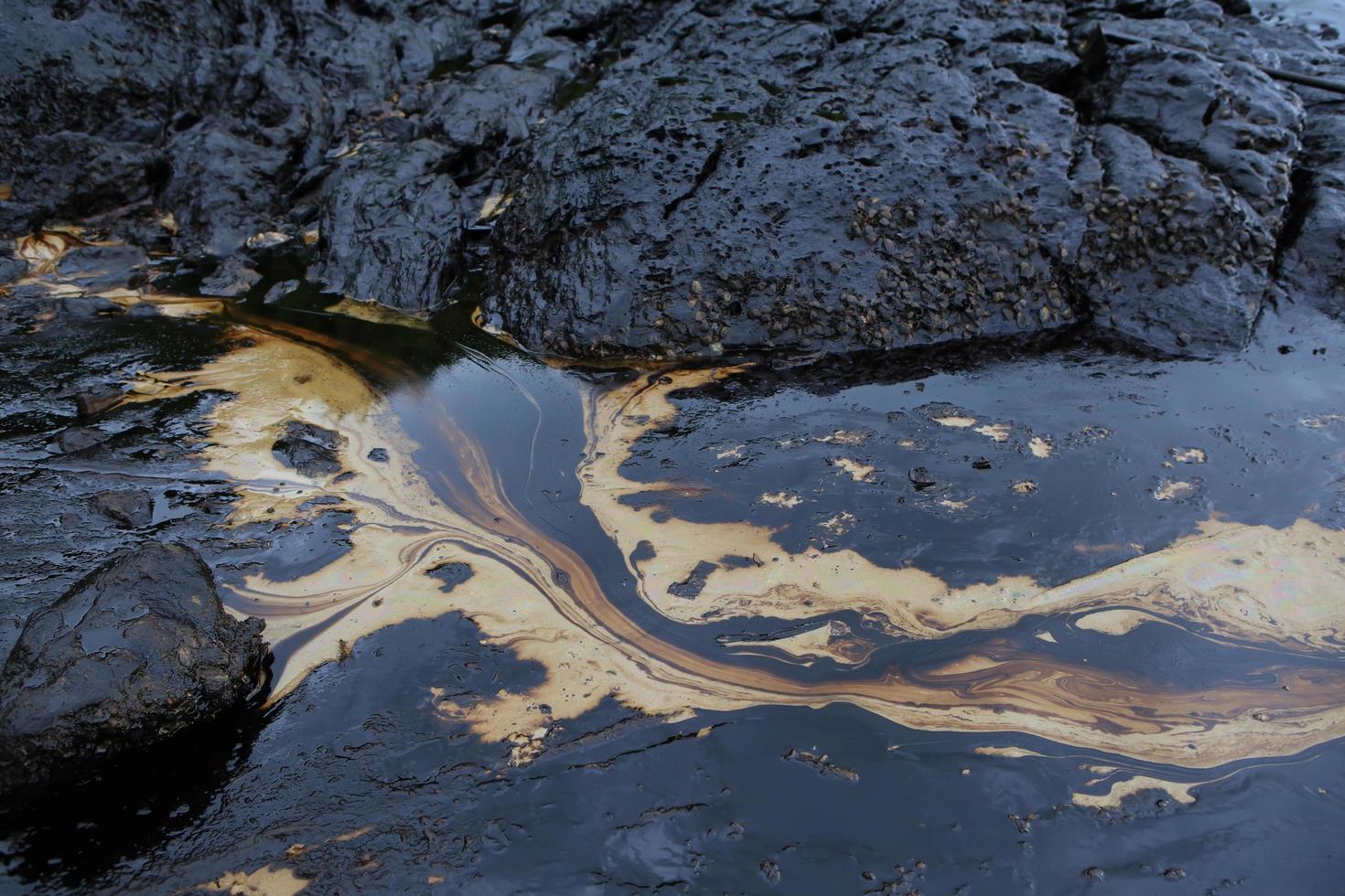 crude oil spill on the stone at the beach photo