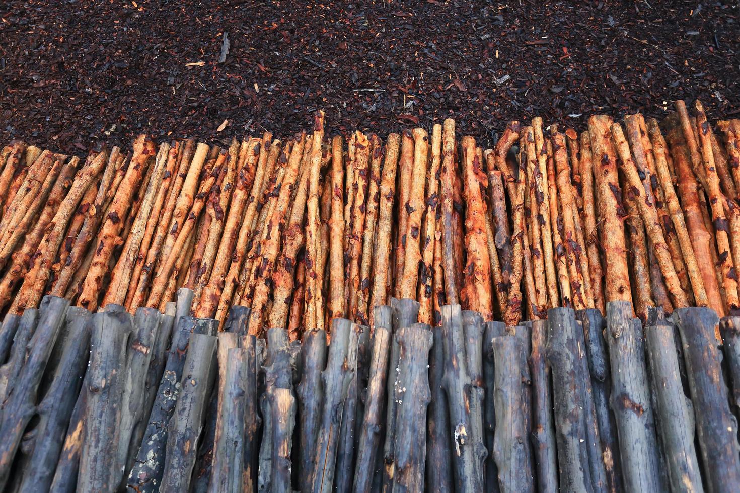 mangrove wood to be processed as charcoal photo