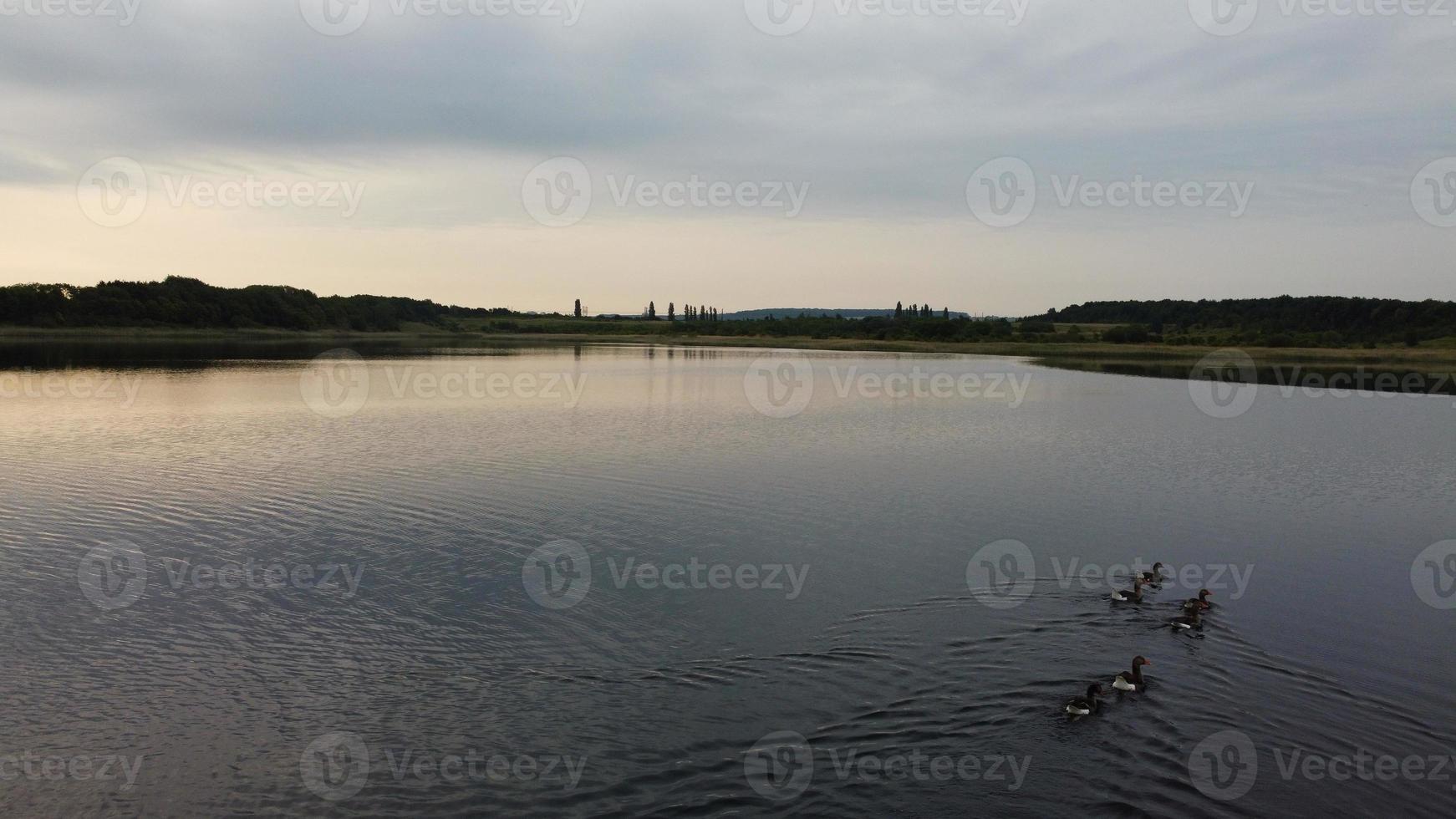 Aerial and High Angle Image Cute Water Birds are Swimming in the Stewartby Lake of England UK on Beautiful Early Morning at Sunrise photo