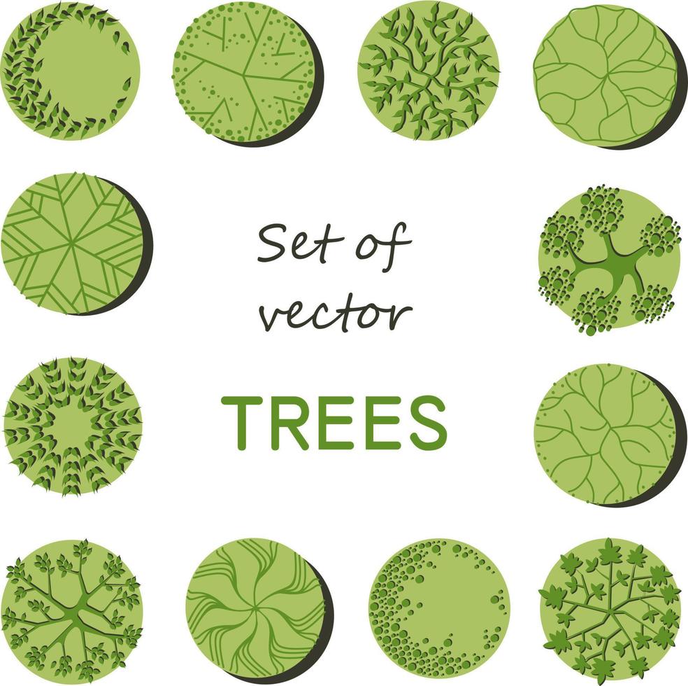 Tree for architectural floor plans. Entourage design. Various trees, bushes, and shrubs, top view for the landscape design plan. vector