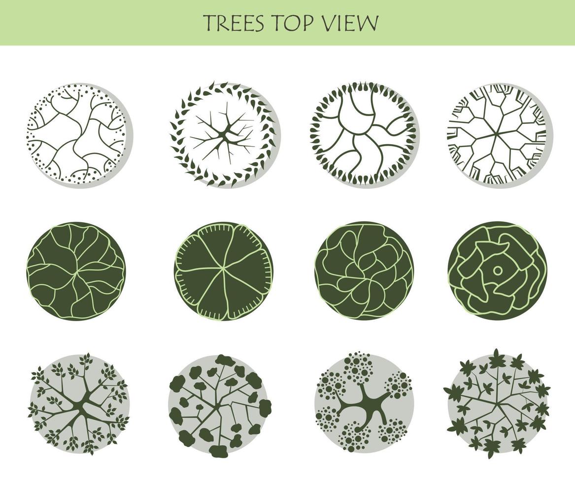 Tree for architectural floor plans. Entourage design. Various trees, bushes, and shrubs, top view for the landscape design plan. vector