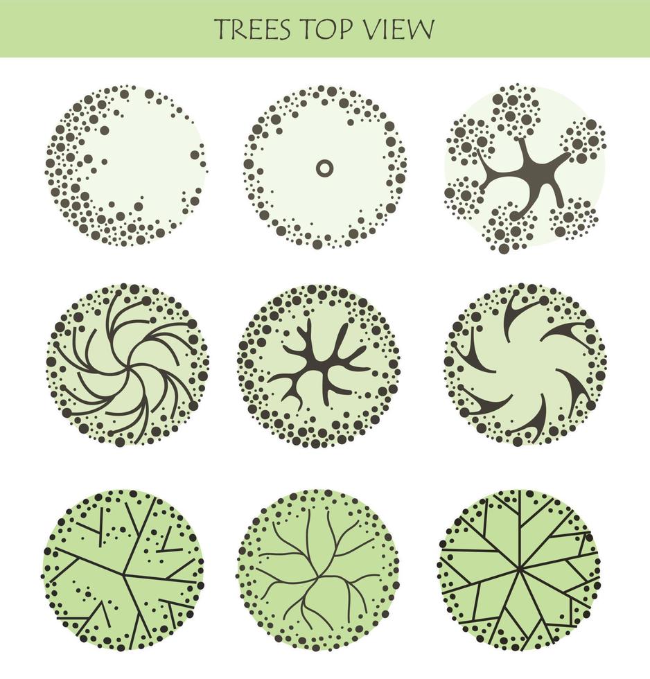 árbol para planos arquitectónicos. diseño de séquito. varios árboles, arbustos y arbustos, vista superior para el plan de diseño del paisaje. vector