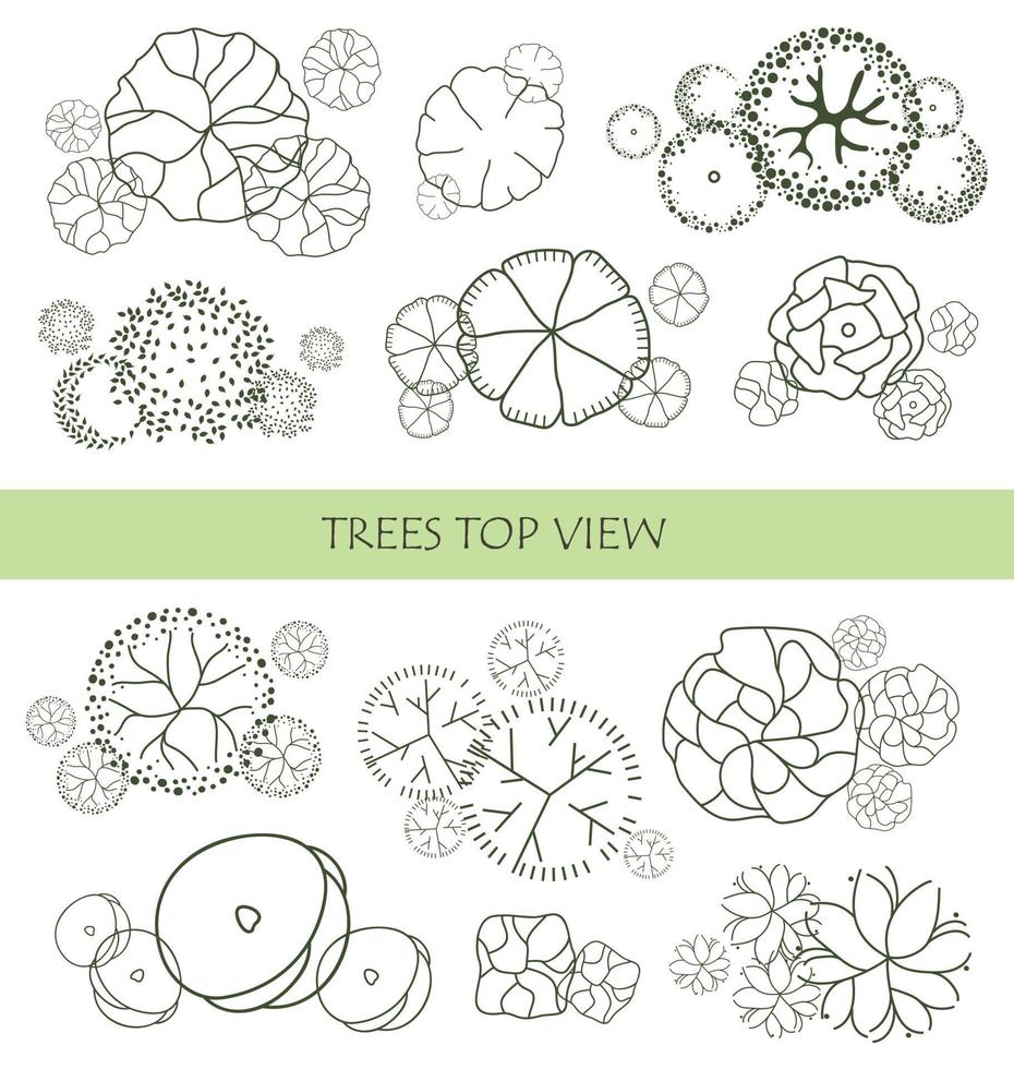 Tree for architectural floor plans. Entourage design. Various trees, bushes, and shrubs, top view for the landscape design plan. vector