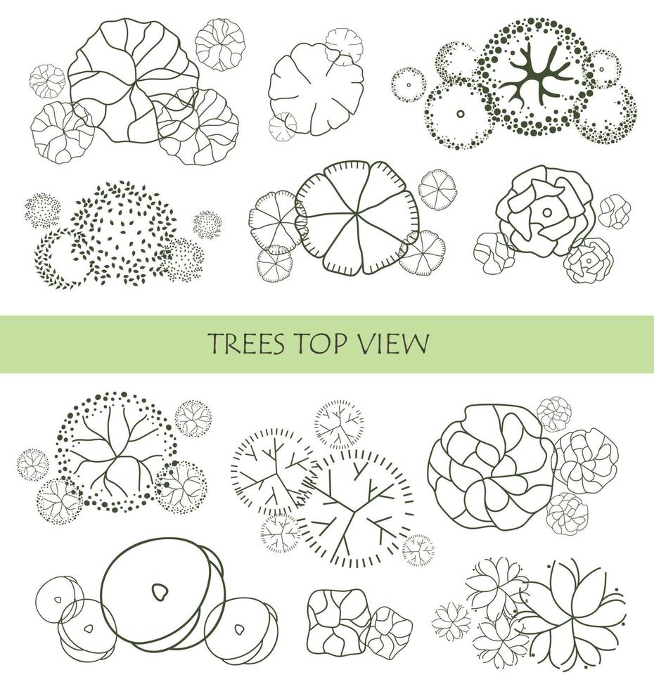 árbol para planos arquitectónicos. diseño de séquito. varios árboles, arbustos y arbustos, vista superior para el plan de diseño del paisaje. vector