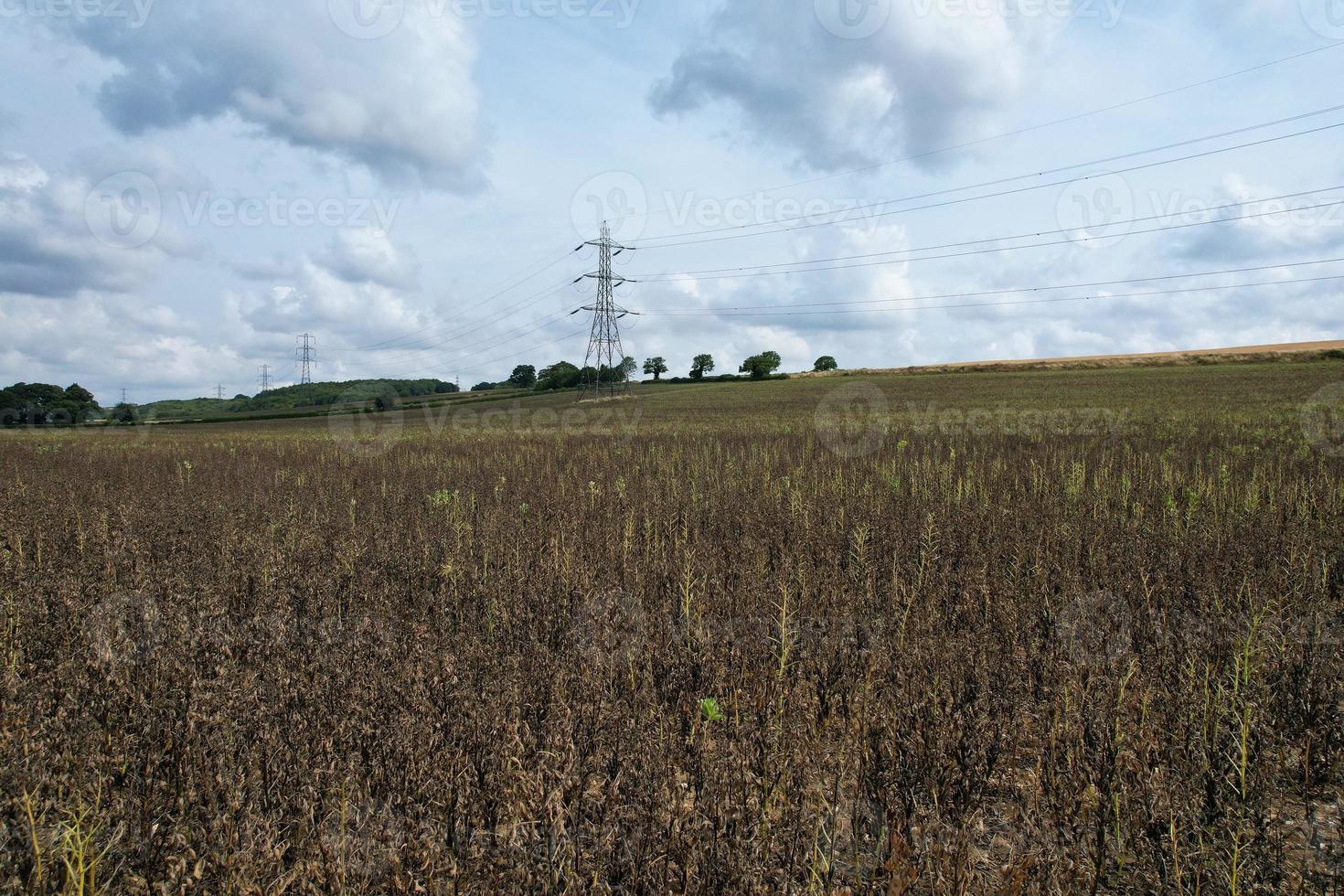 High Voltage Power Supply Poles with Cables Running Through British Farmlands and Countryside, Aerial high angle view by drone's camera. photo