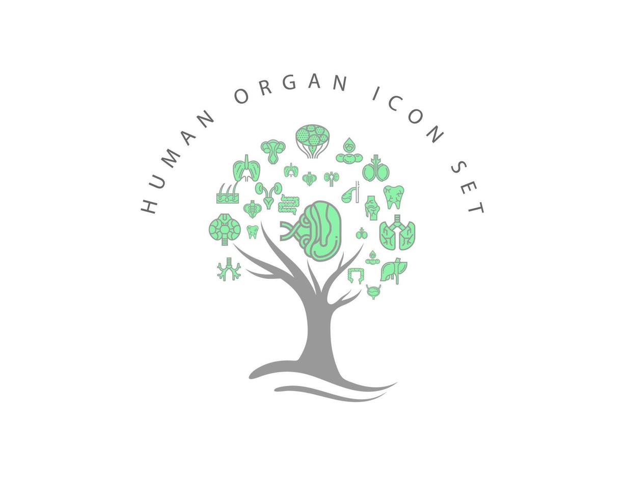 Human organ icon set on white background vector