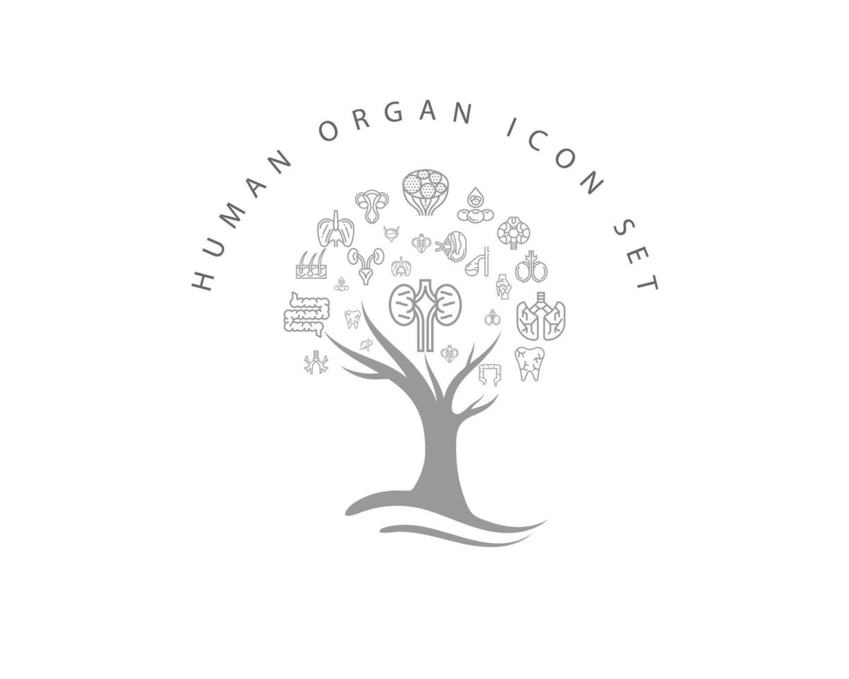 Human organ icon set on white background vector