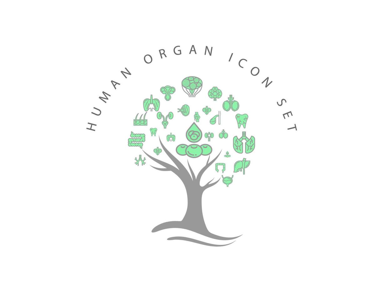 Human organ icon set on white background vector