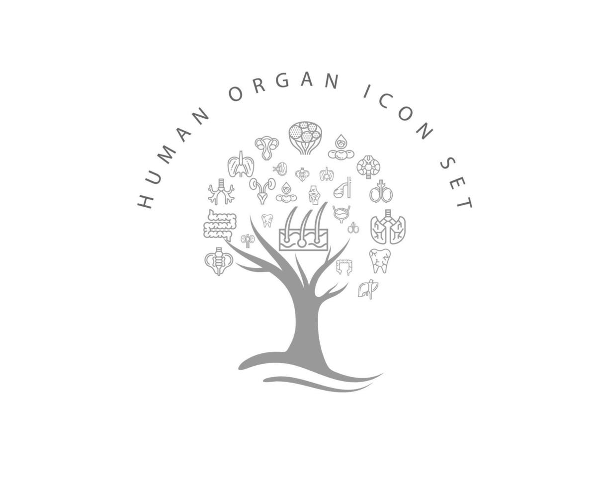 Human organ icon set on white background vector