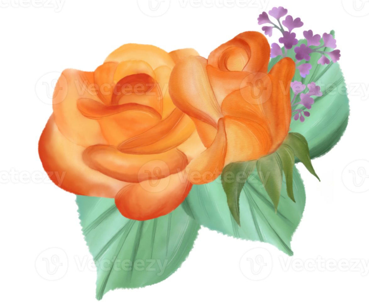 Rose flower bouquet watercolor png