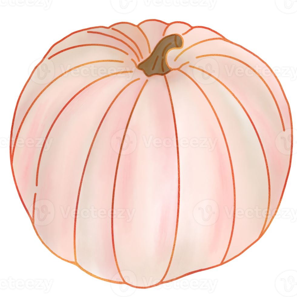 Pink pumpkin watercolor png