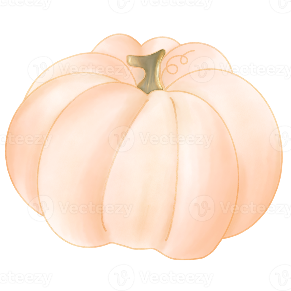 Peach pumpkin watercolor png