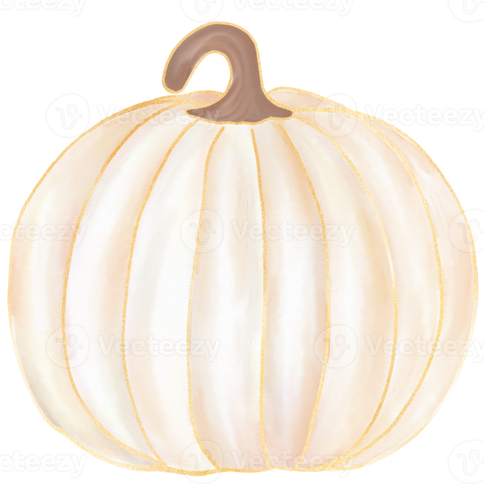 White Fall Pumpkin watercolor png