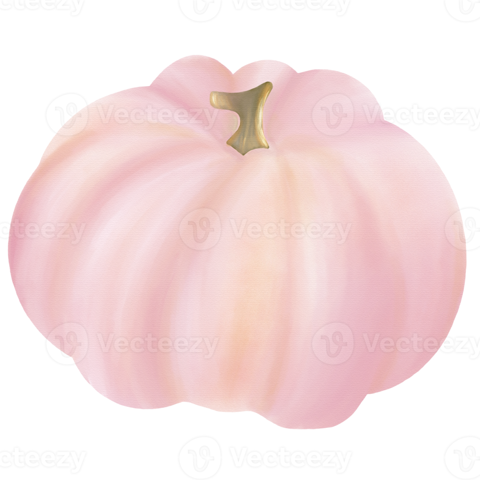 Pink pumpkin watercolor png