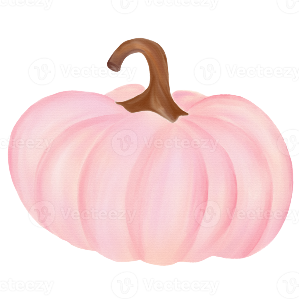 acquerello di zucca rosa png