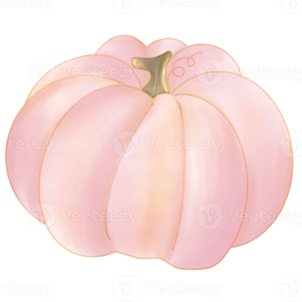 Pink pumpkin watercolor with gold line png