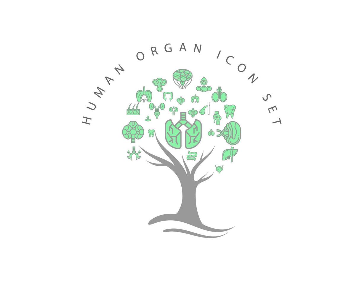 Human organ icon set on white background vector