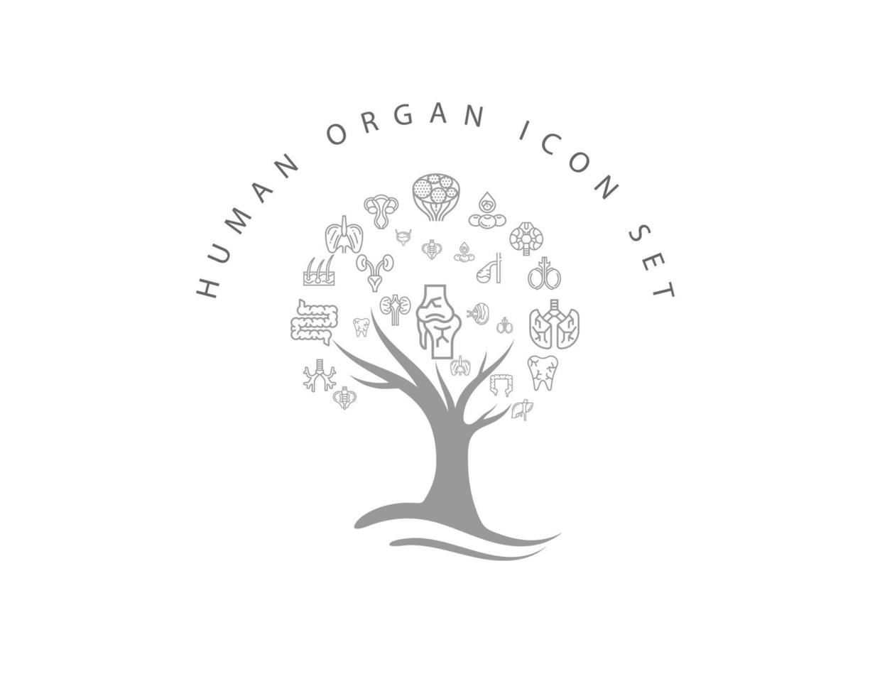 Human organ icon set on white background vector