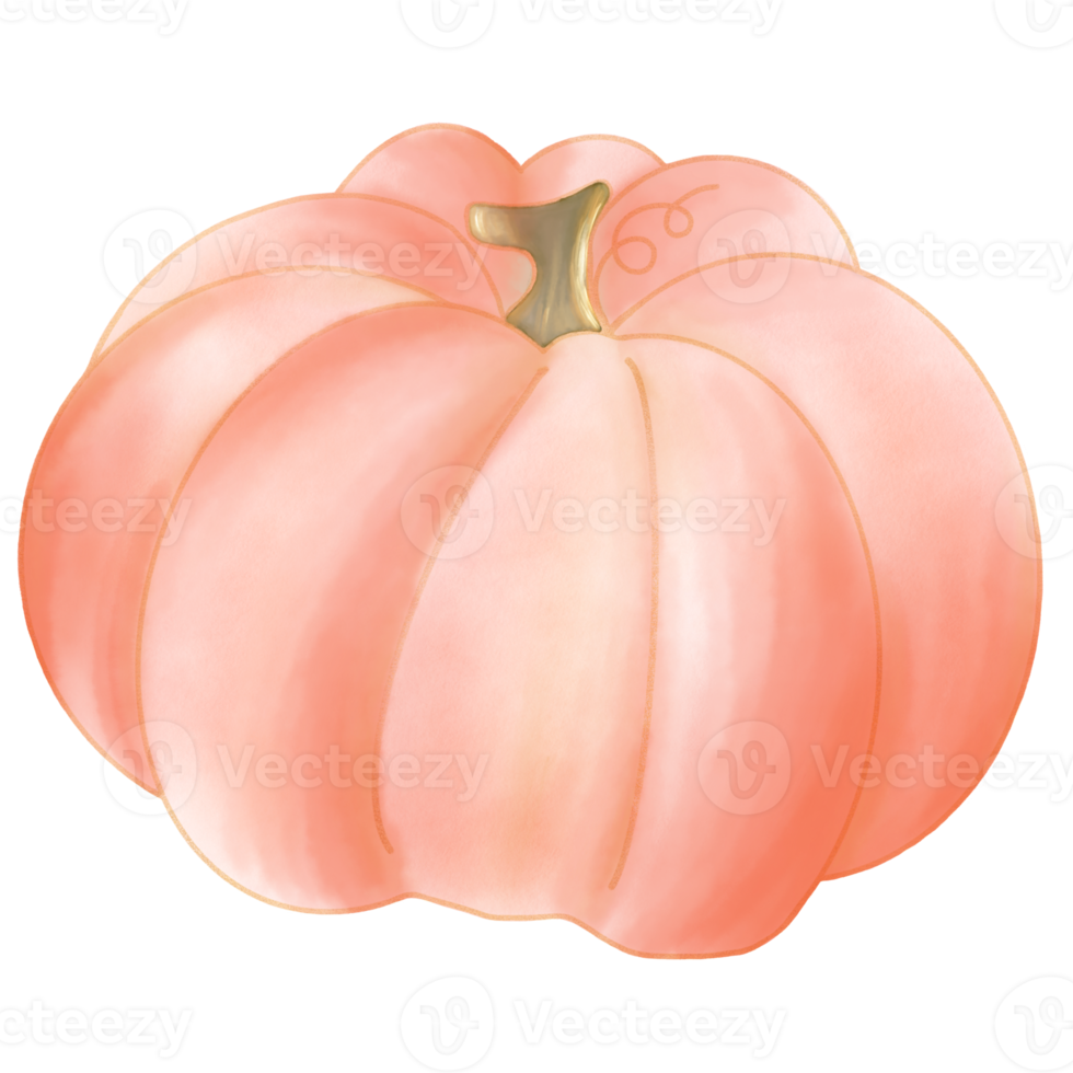 Orange pumpkin watercolor png