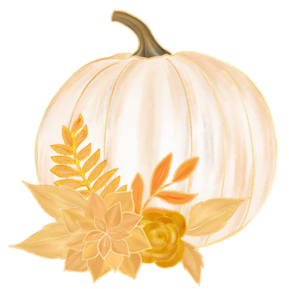 White pumpkin watercolor png