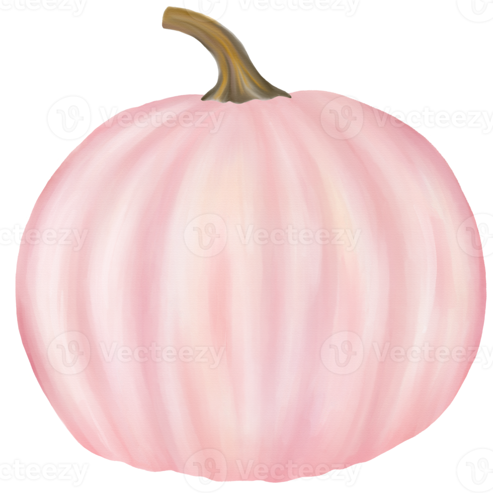 Pink pumpkin watercolor png