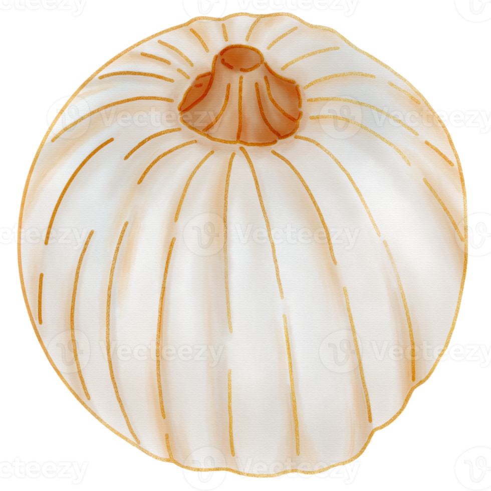 Big white pumpkin with gold line watercolor png