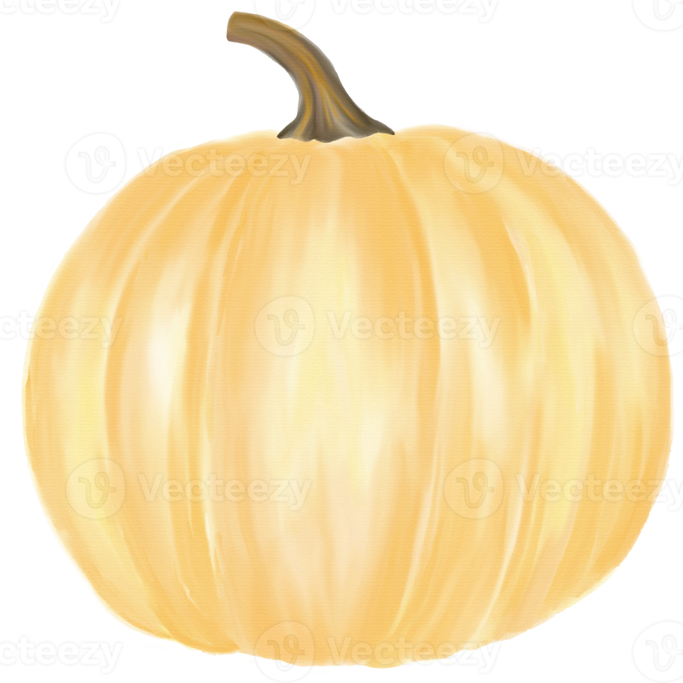 Pastel pumpkin watercolor png