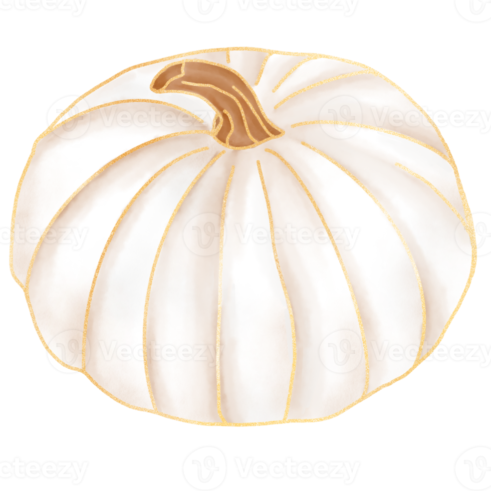 White Fall Pumpkin watercolor png