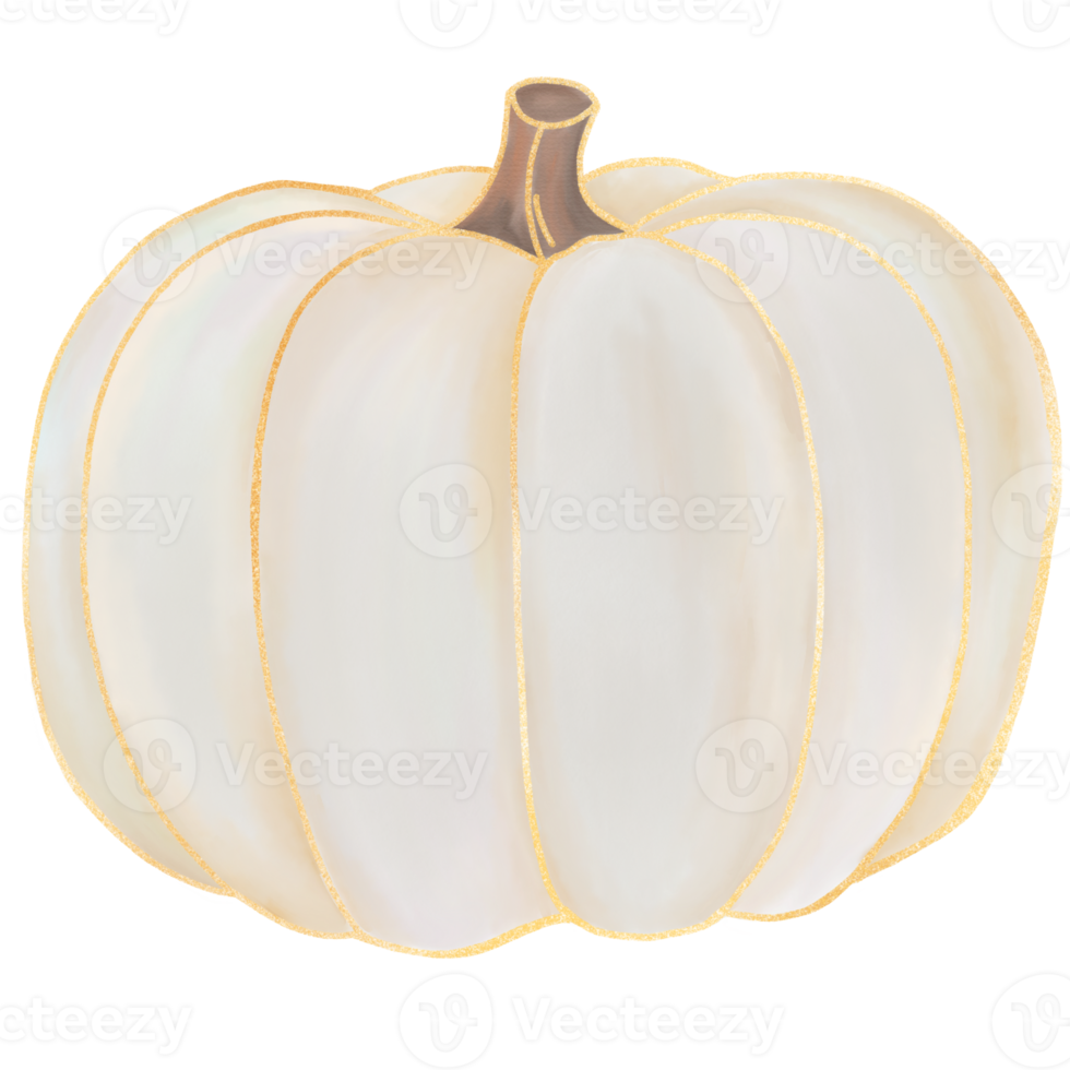 White Fall Pumpkin watercolor png