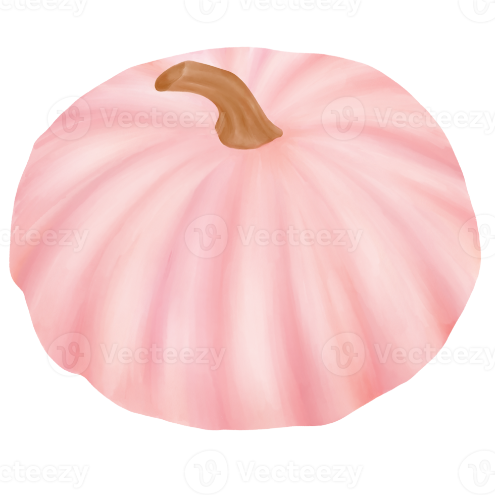 Pink pumpkin watercolor png