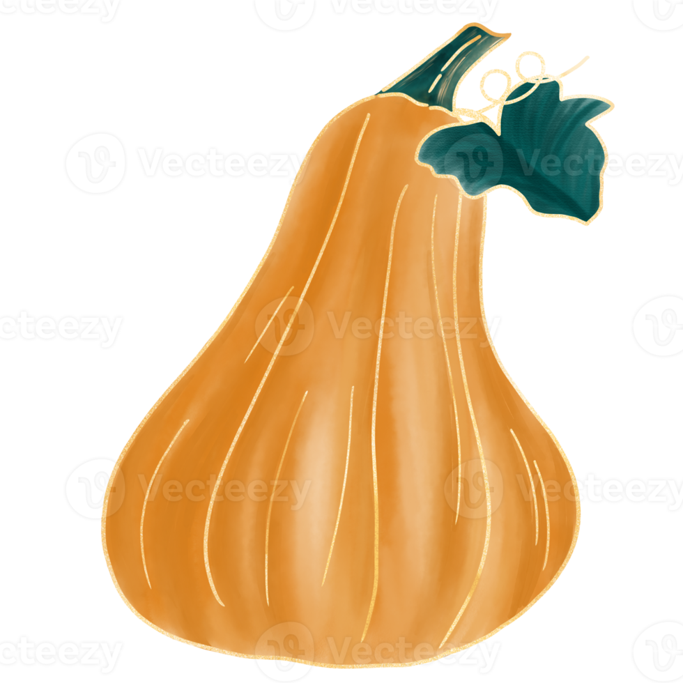 acquerello di zucca arancione png