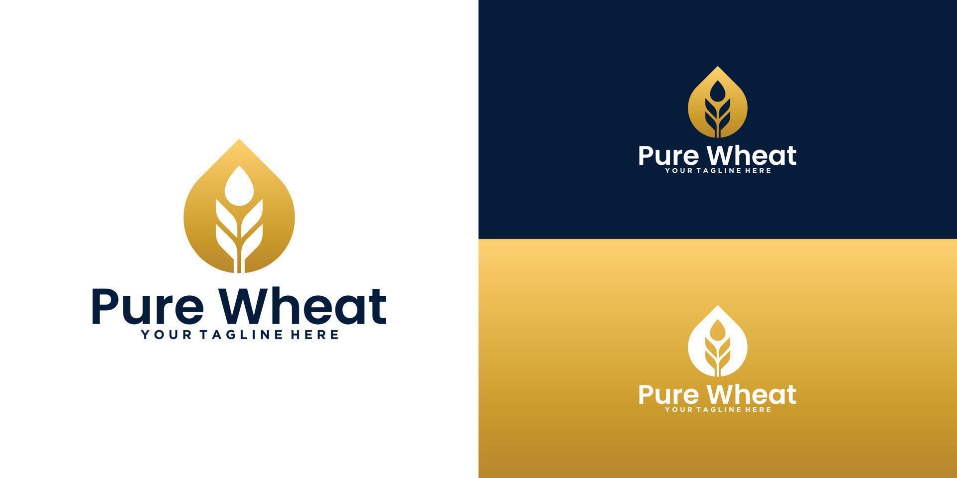 wheat plant and water drop logo design with business card inspiration vector