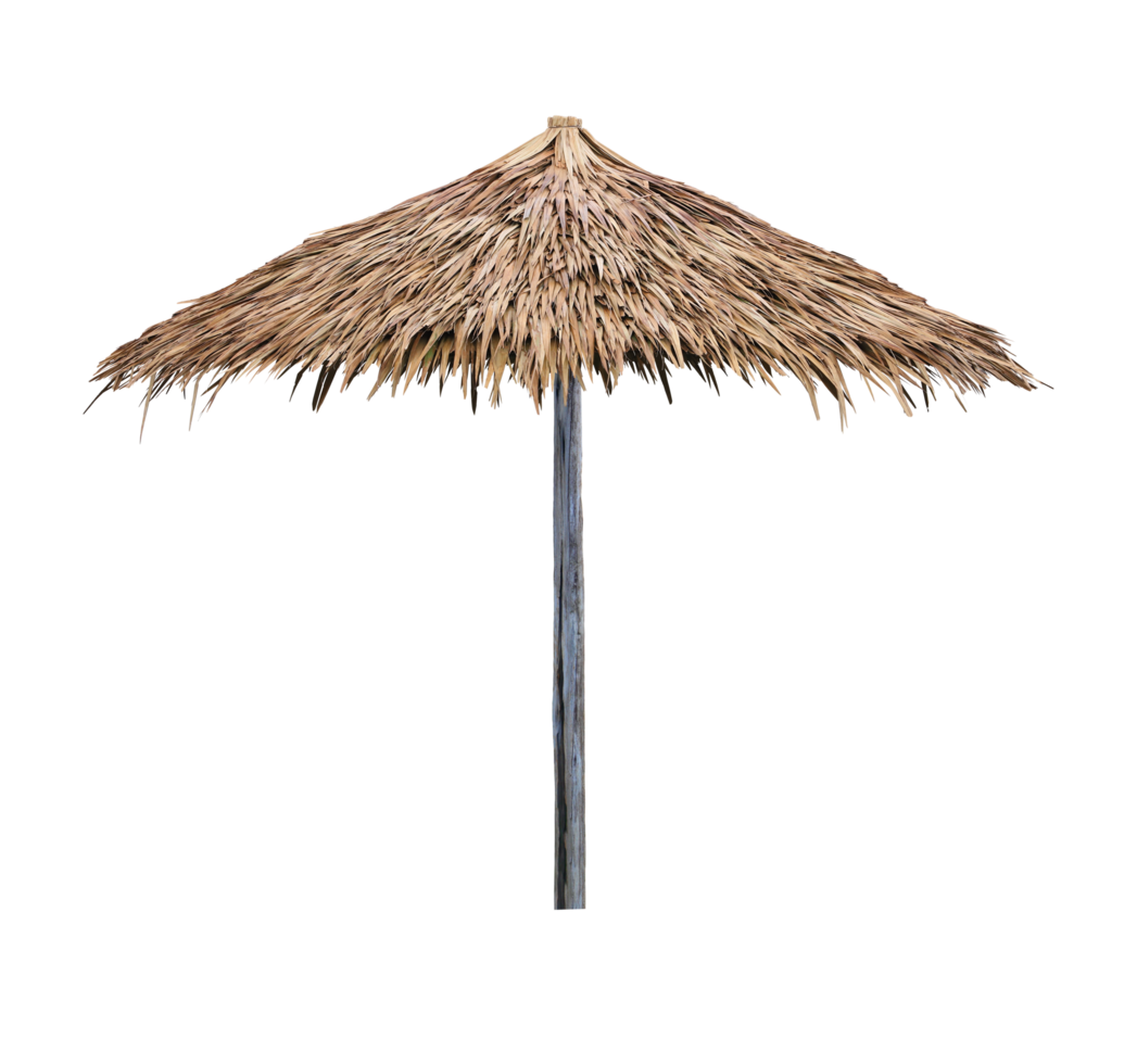 Single beach umbrella parasol made of coconut leaf isolated on transparent background png