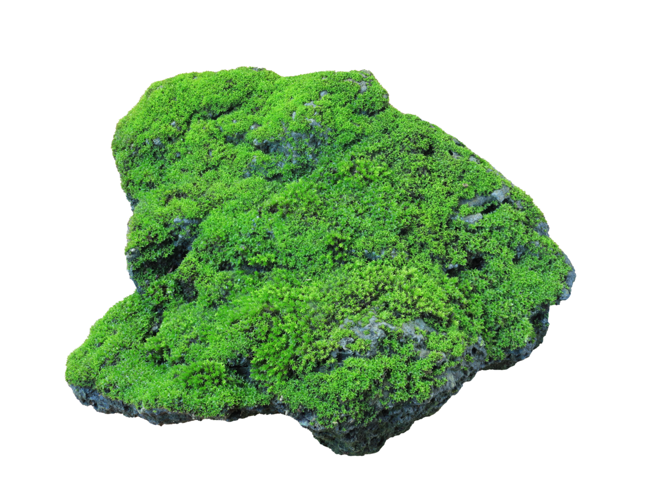 Rock covered in green moss isolated on transparent background for aquatic and garden design usage png