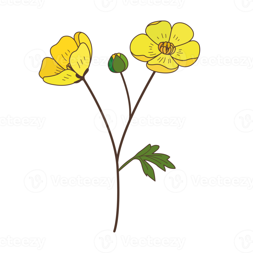 blossom cartoon in filled outline style png