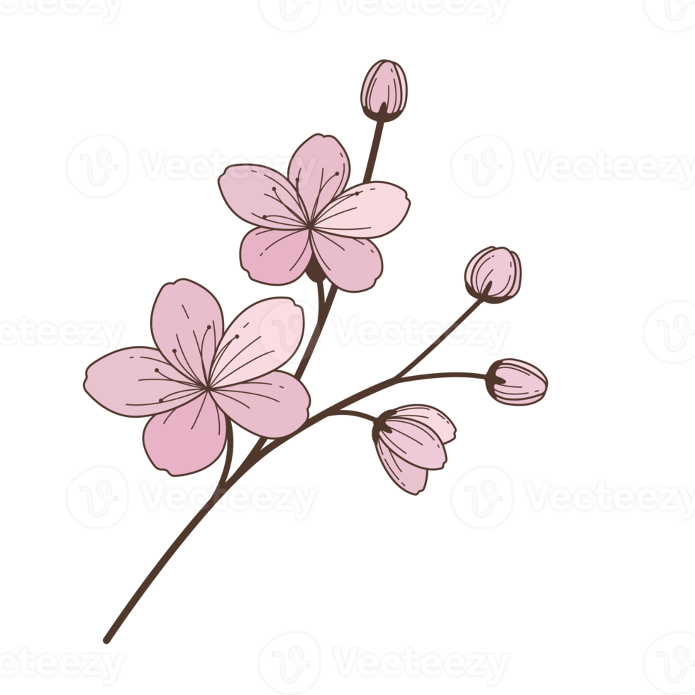 blossom cartoon in filled outline style png