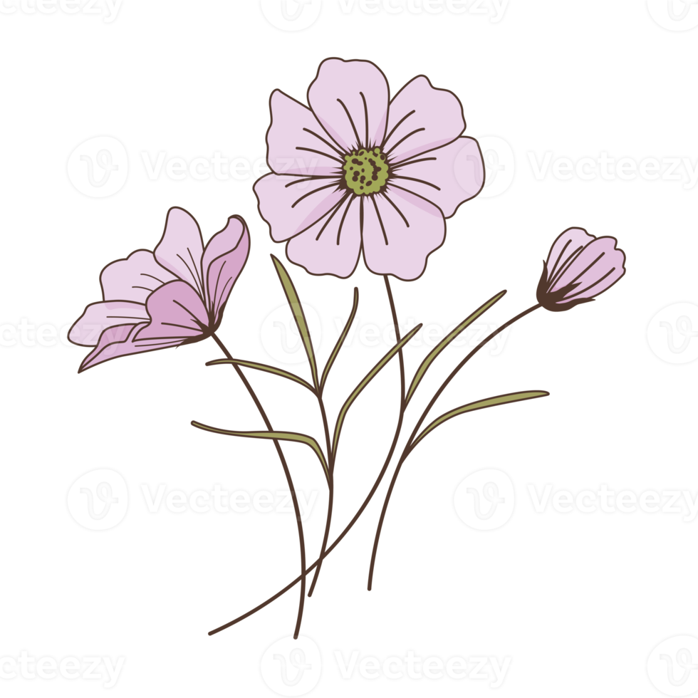 blossom cartoon in filled outline style png