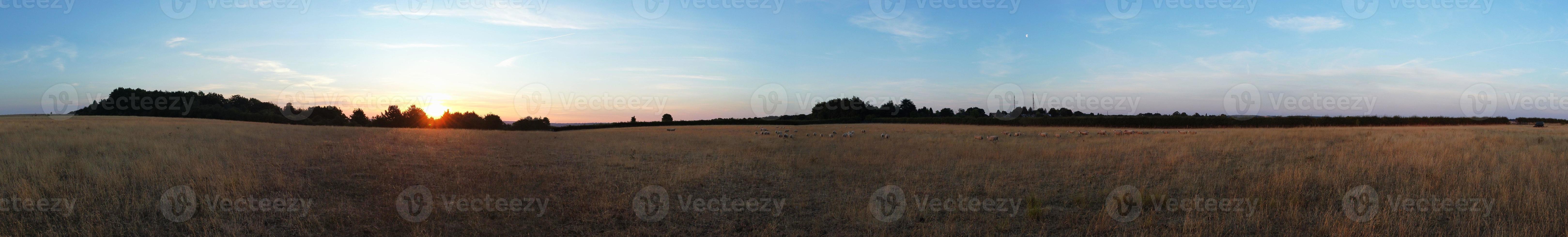 vista de ángulo alto de las granjas británicas de cordero y ovejas en el campo de Inglaterra, era la hora del atardecer foto