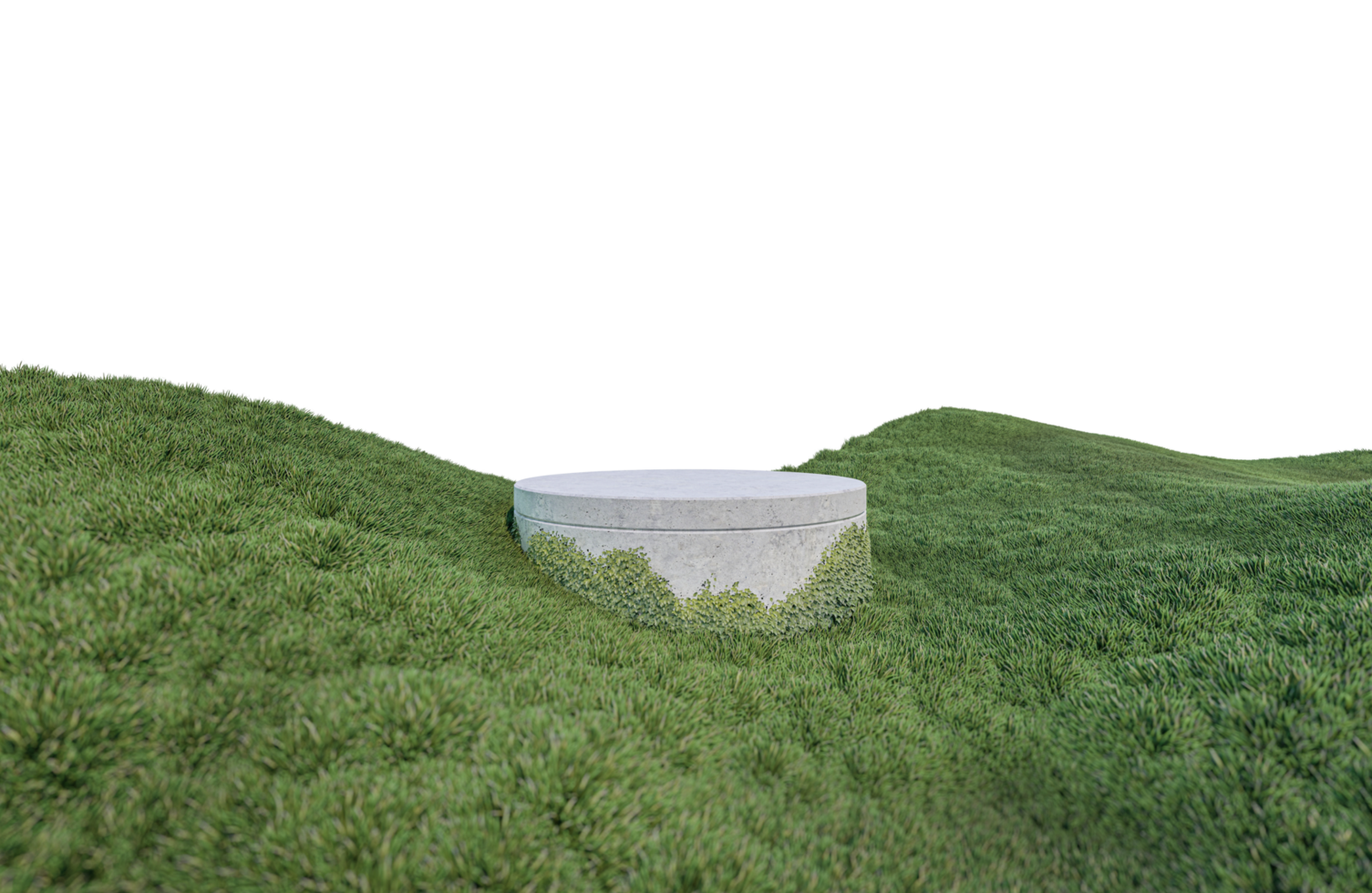 un'immagine di rendering 3d della visualizzazione del prodotto sul campo in erba png