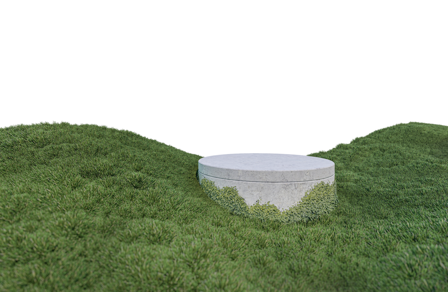 een 3D-weergavebeeld van productweergave op grasveld png