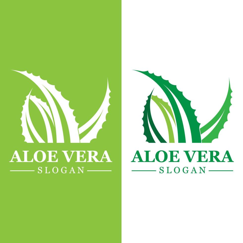 Green plant aloe vera logo vector icon symbol many benefits