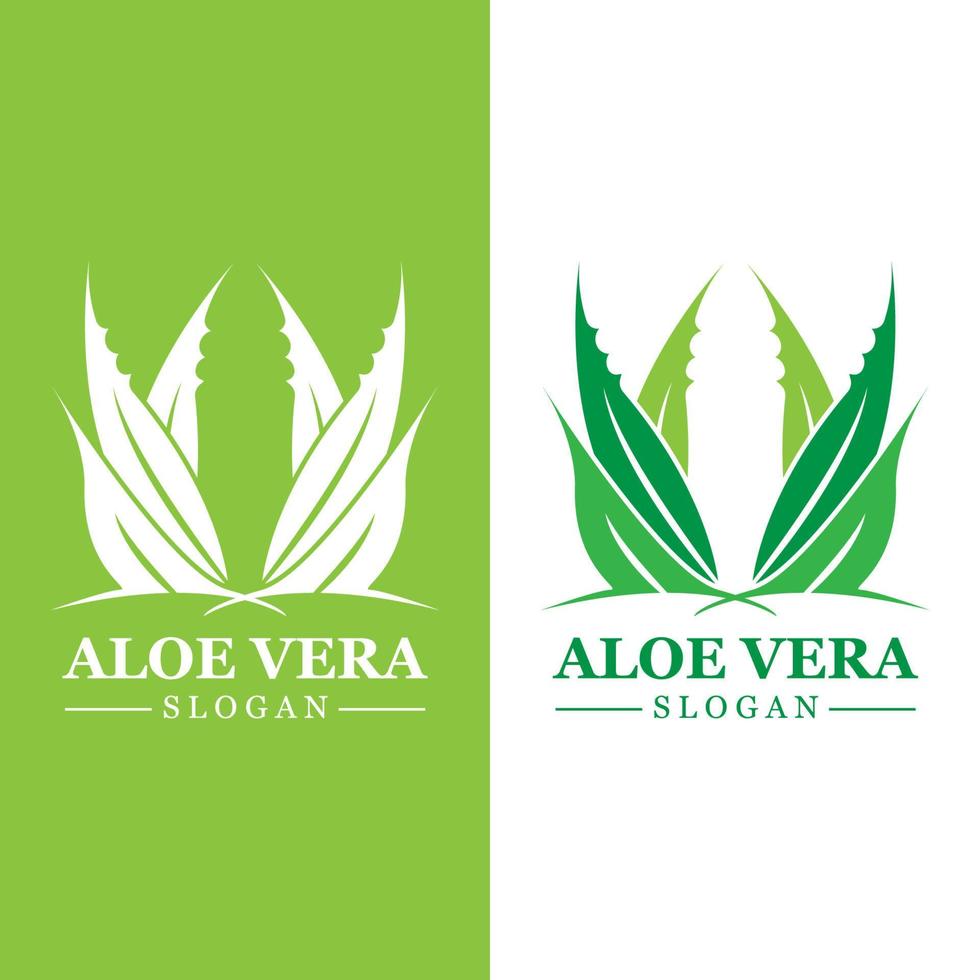 Green plant aloe vera logo vector icon symbol many benefits