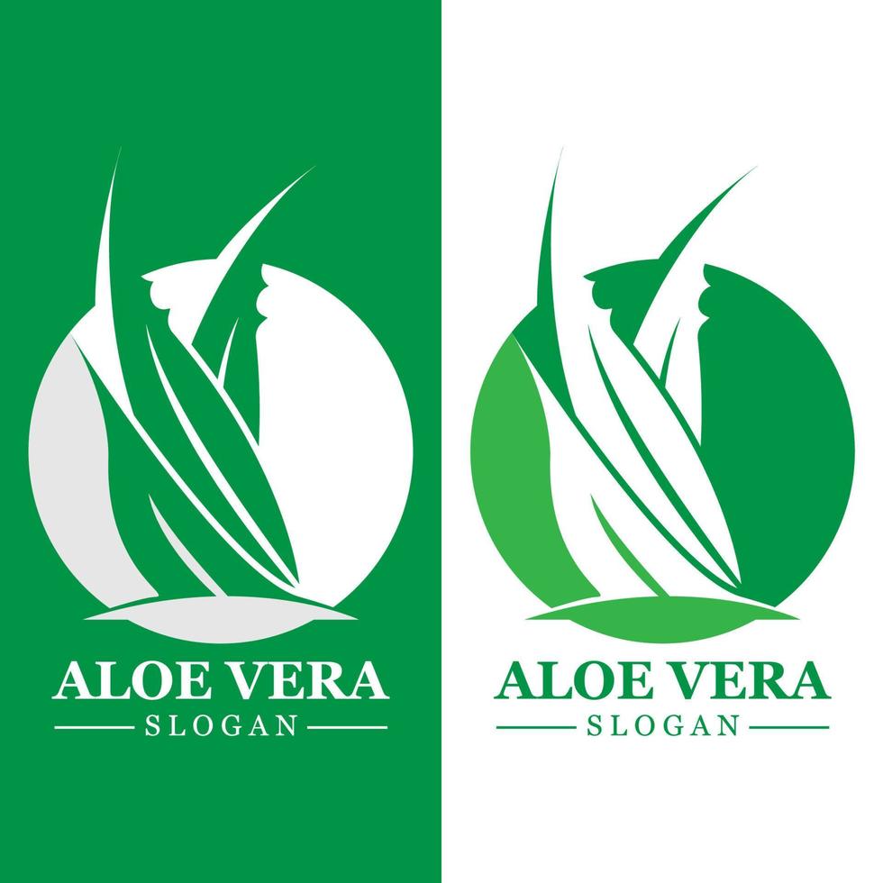 Green plant aloe vera logo vector icon symbol many benefits