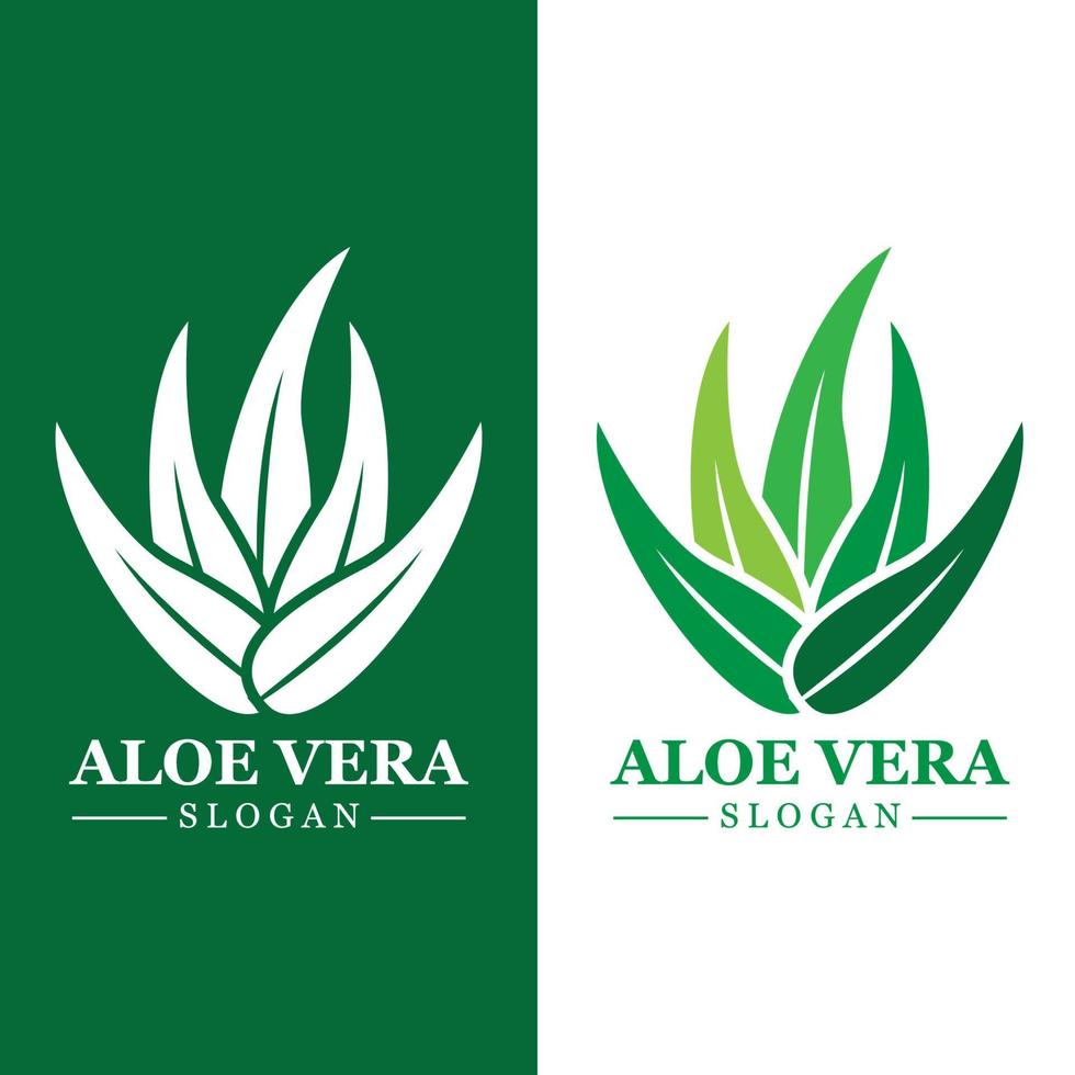 Green plant aloe vera logo vector icon symbol many benefits