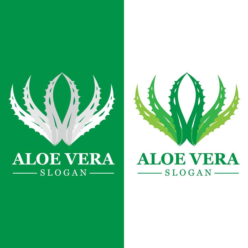 Green plant aloe vera logo vector icon symbol many benefits