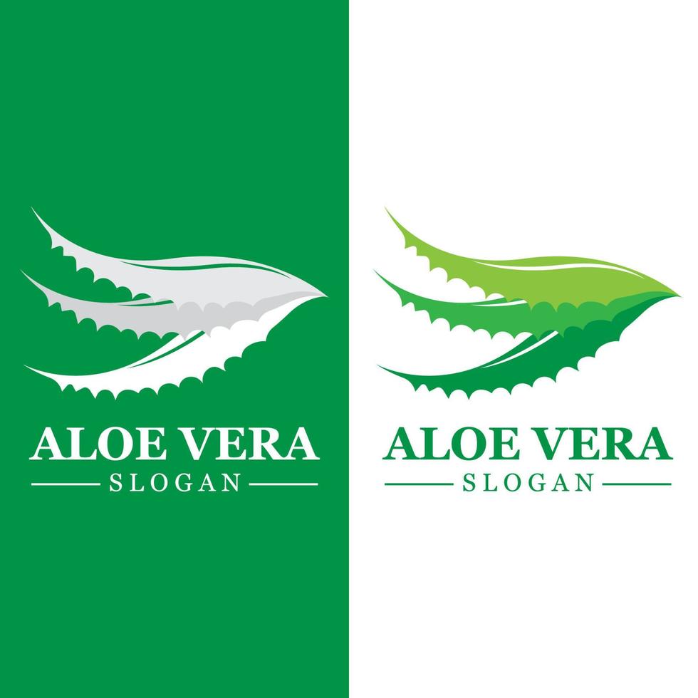 Green plant aloe vera logo vector icon symbol many benefits