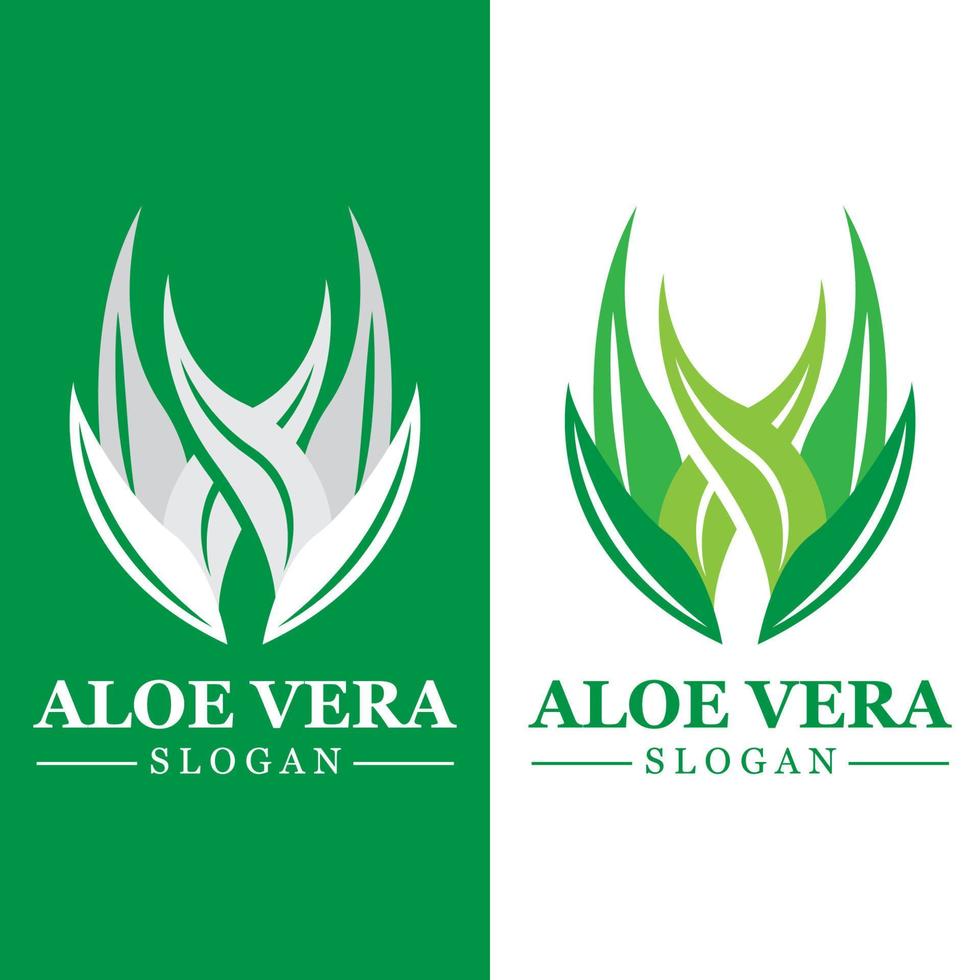 Green plant aloe vera logo vector icon symbol many benefits