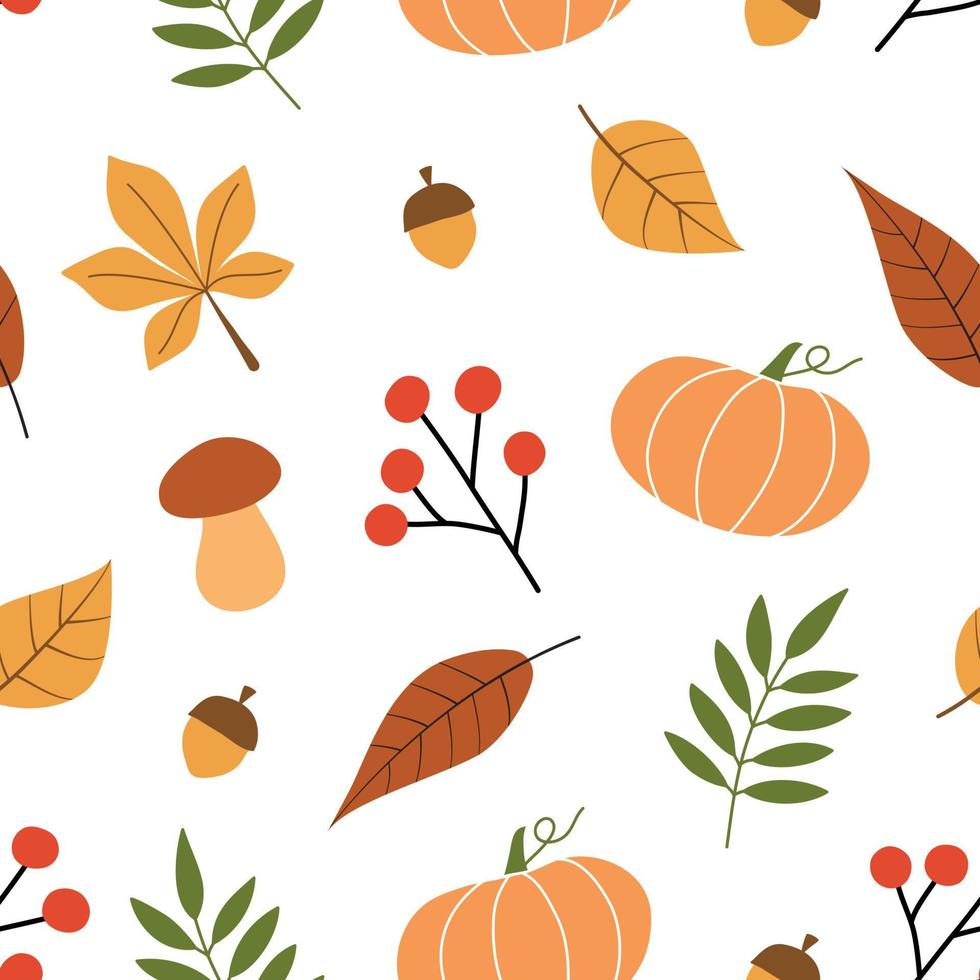 Autumn pattern on a white background. vector