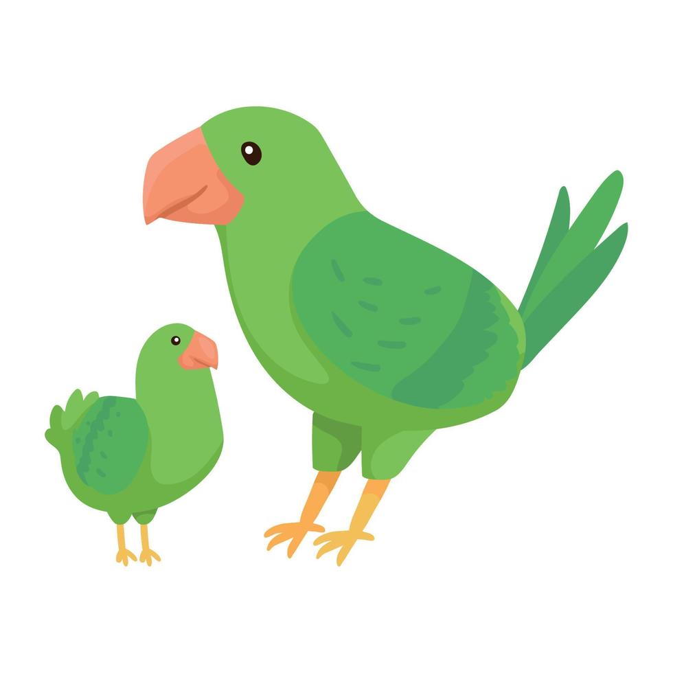 parrot mother and baby vector